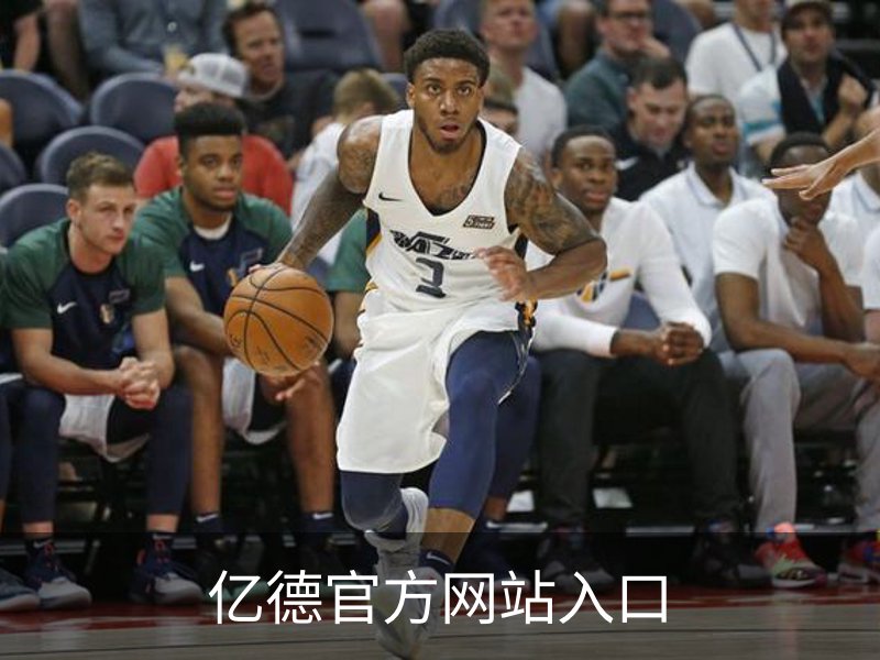 亿德官方网站入口简介